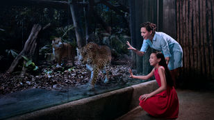 Mother-daughter duo captivated by the wonders of Singapore Night Safari, creating cherished memories amidst captivating nocturnal wildlife.